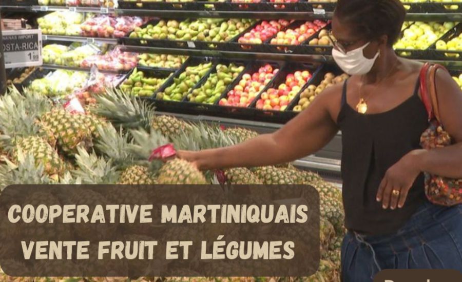 Cooperative Martiniquais Vente Fruit ET Légumes